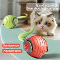 Zavenur™ Smart Rolling Cat Toy